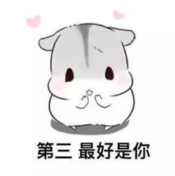 撩妹表情包梦想和我,你选哪个