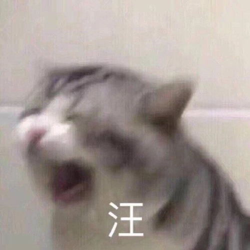 表情包沙雕表情包第八百四十一期