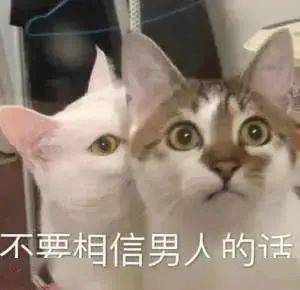 王守义说13香丨第202期喵表情