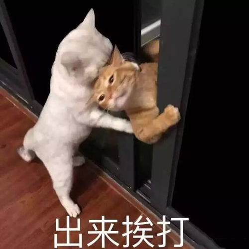 搞笑图片幽默段子现在女孩子都喜欢暖男,我得始终保持暖暖啊