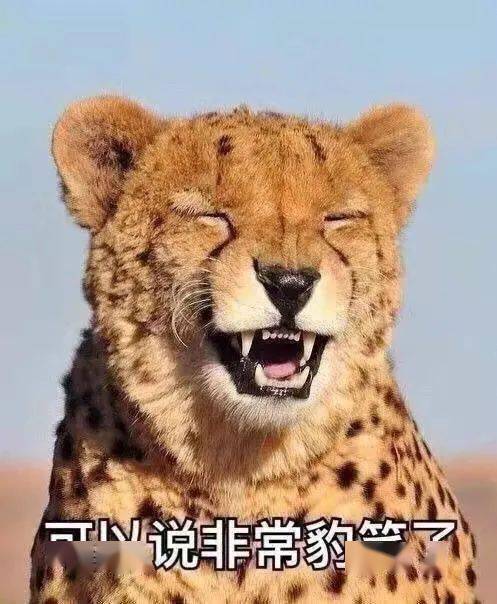 正蒙二院了解一下歇后语中的小幽默吧