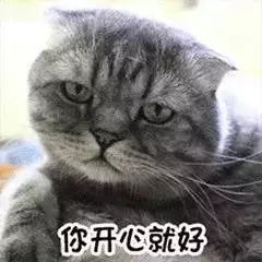 最近很火的40张猫咪表情包