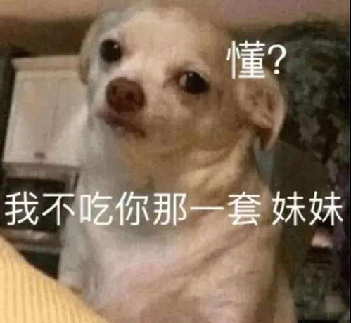 爸爸的好胜心能有多强哈哈哈哈真的给我笑yue了