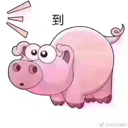 捂着肚子笑喂屎表情包