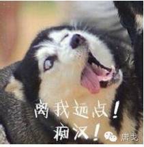 肥唐说二手烟到底有多大危害孩子一出生血管如