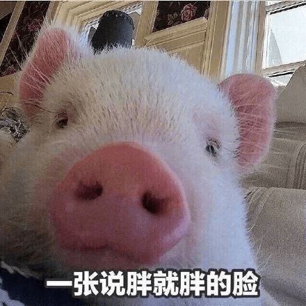 我真的不想开学
