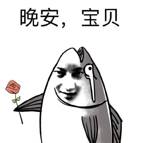 快来认领你冬日里的温暖