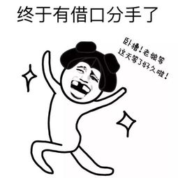搞笑表情包终于有借口分手了,卧槽,老娘等这天等了好久啦