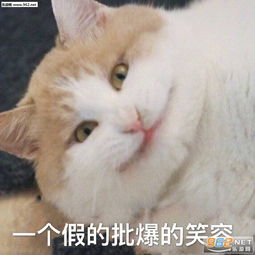 会有蚊子替我亲你图片一个假的批爆的微笑表情包下载乐游网游戏下载