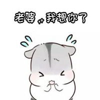 老婆我想你表情包微信头像图片大全