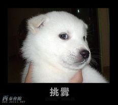 恋足癖的板油进女生慎入,免得自卑