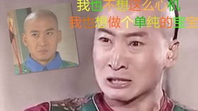影视剪辑还珠格格永燕吵架尔康对五阿哥说的一番话是真宠小燕子啊mdaii0yq093wg13c30