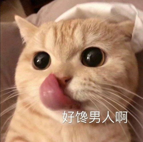搞笑gif趣图猴哥居然造反了,师傅都敢打