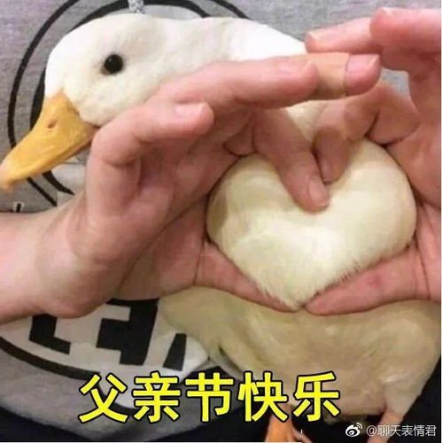节日快乐致我生命中最重要的男人