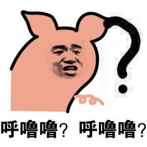 当南方姑娘嫁给东北老爷们,场面可以说非常爆笑了......