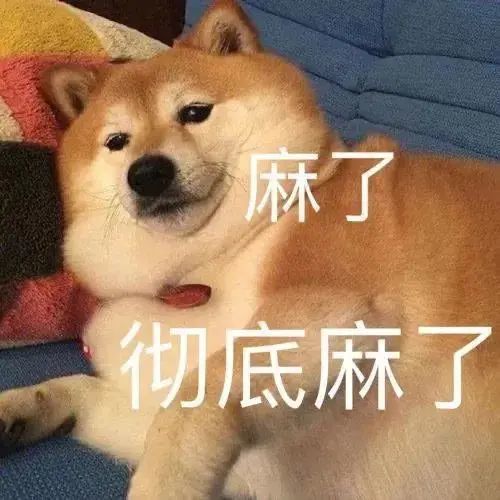 沙雕表情包动图年纪太大,不好骗了