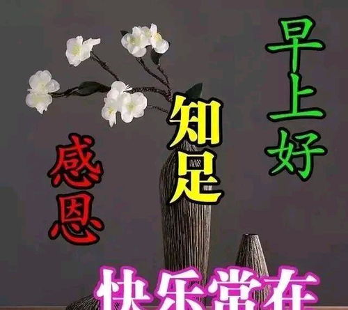 幸福没有标准答案,快乐也不止一条道路