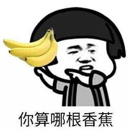 这年头的艺术我真是理解不了