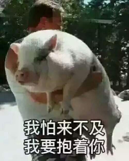 谁能告诉我新版豆瓣怎么保存图片