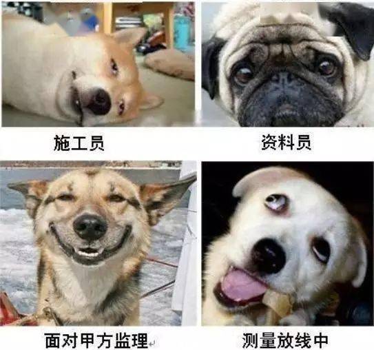 工地岗位表情一览表...切勿对号入座