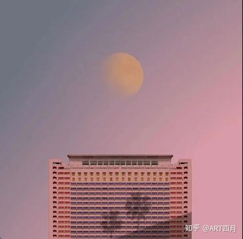 我们问前辈丨学硕研究生毕业后都在做什么