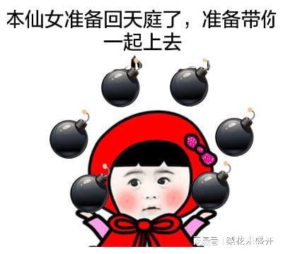 表情猫猫表情包