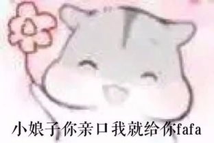 求小仓鼠老婆系列表情包,类似这种