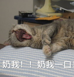 王者荣耀咆哮表情包打个游戏嗓子都要吼哑了