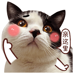 麦粒酥微信表情真猫版上架啦
