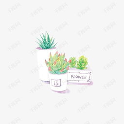 小清新插画广告设计卡通多肉盆栽素材图片免费下载高清png千库网图片编号10514878
