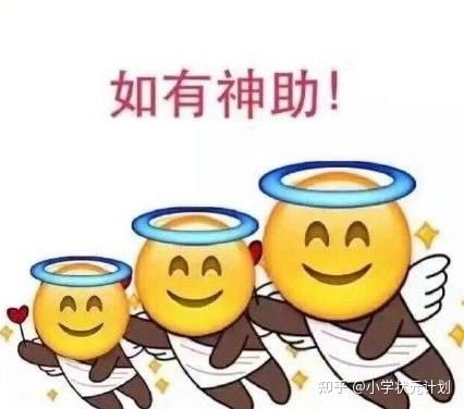 我是一名小学生作文300字