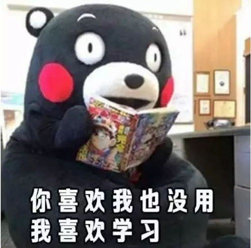 收下这3999,下一个从5到7的人就是你
