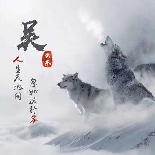 2022你喜欢的微信头像做好了,36张3d高端精致签名头像,请查收