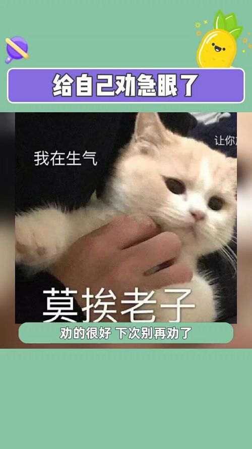 劝的好,下次别劝了