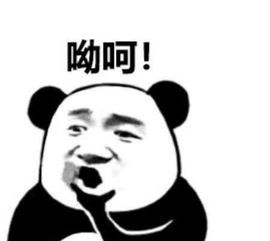 怼人专用表情包,同样是九年义务教育,网友你咋就那么优秀