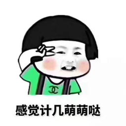 你没见过的表情包,巨搞笑