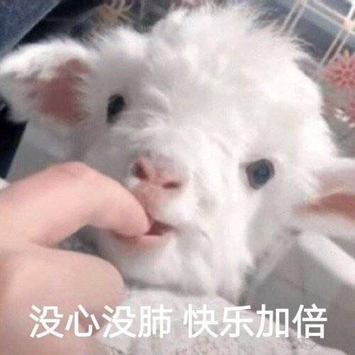激动我竟然进了第二轮管理员候选了