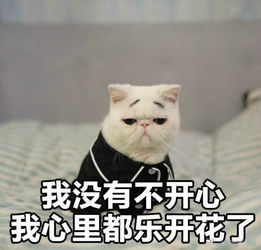 我心里都乐开了花表情包完整版下载我心里都乐开了花表情包高清无水印极光下载站