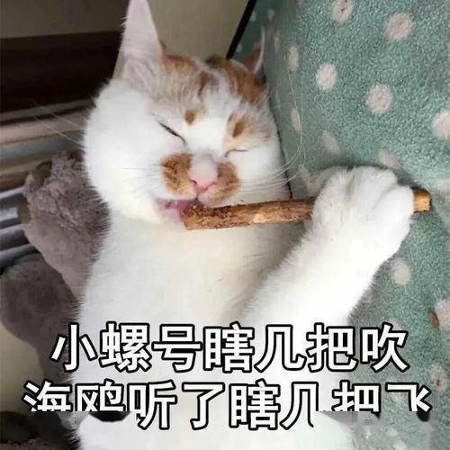 30个可爱调戏表情包今晚要不要和我...造个孩子什么的