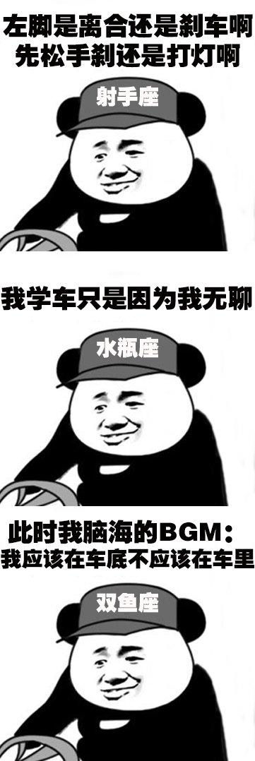 十二星座学车表情包,超搞笑,我双子挺准的,看看你的准不准