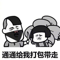 打劫表情包