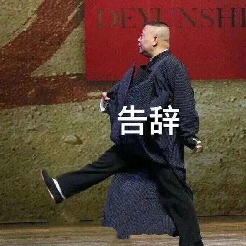 每日精选沙雕表情包