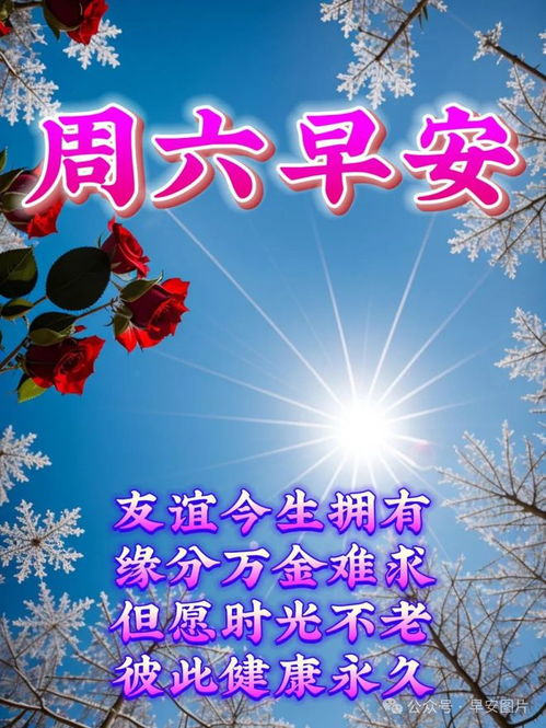 2024年6月8日早安图片,端午安康动态表情包图片大全