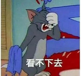 猫科动物里,飙起车来谁最快