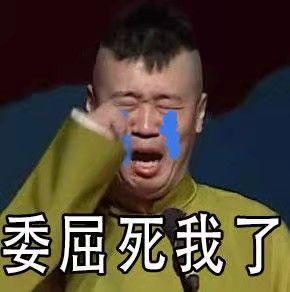 表情包系列第一期30张德云社搞笑图片