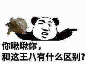 搞笑斗图表情包你瞅瞅你,和这王八有什么区别