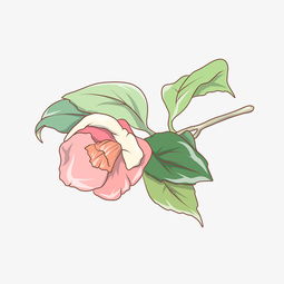 唯美小清新水彩花卉花朵插画图片素材其他格式下载动漫人物大全
