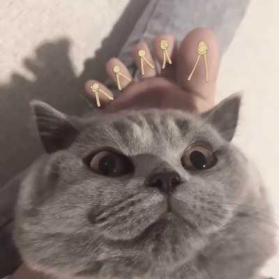 可爱情侣头像卡通猫咪情头