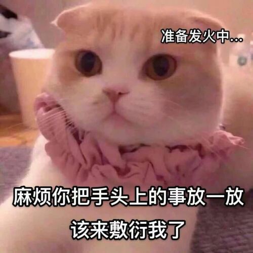 适合官宣的搞笑朋友圈文案