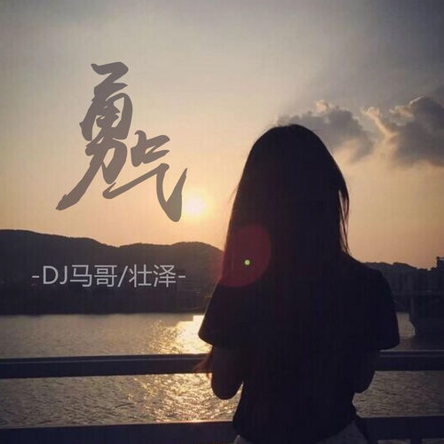 老年迪斯科壮泽马哥高音质在线试听老年迪斯科歌词歌曲下载酷狗音乐